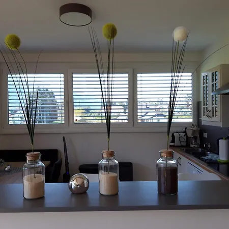 Nico's Place 아파트 제니그