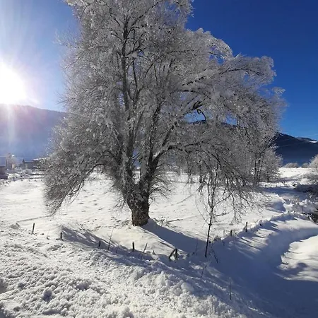 Apartment Nico's Place Jenig