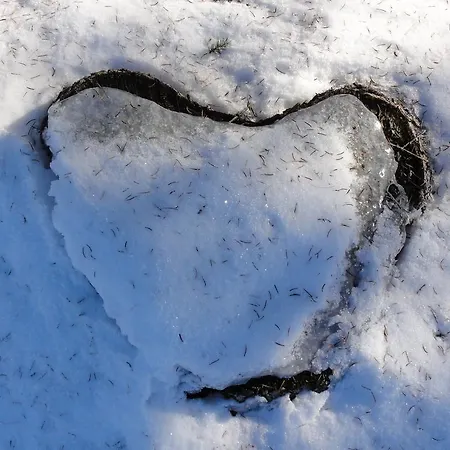 Nico's Place * 제니그