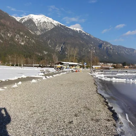 Nico's Place 제니그