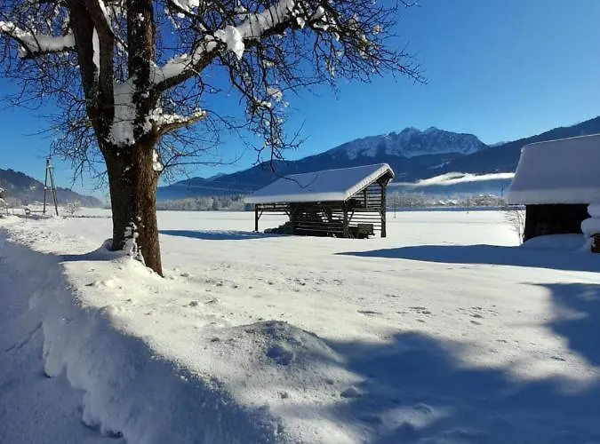 Nico's Place Apartament *