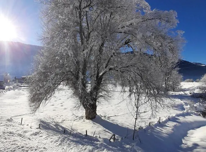 Apartament Nico's Place Jenig