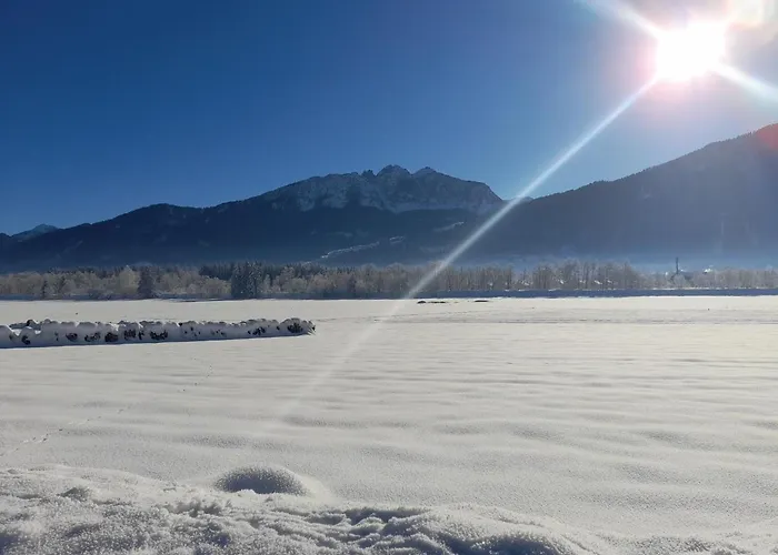 Nico's Place Lejlighed *