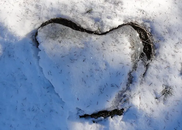 Nico's Place * Jenig