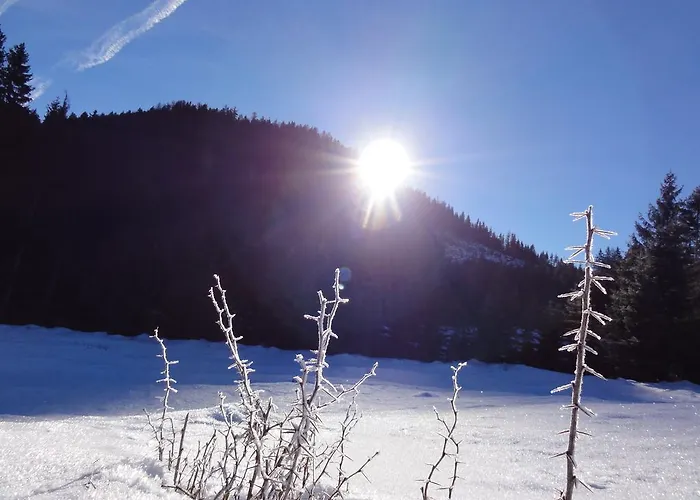 Apartament Nico's Place *